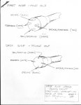 Thn_TD_Page_6.jpg